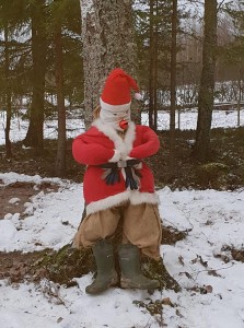 Vår tomte